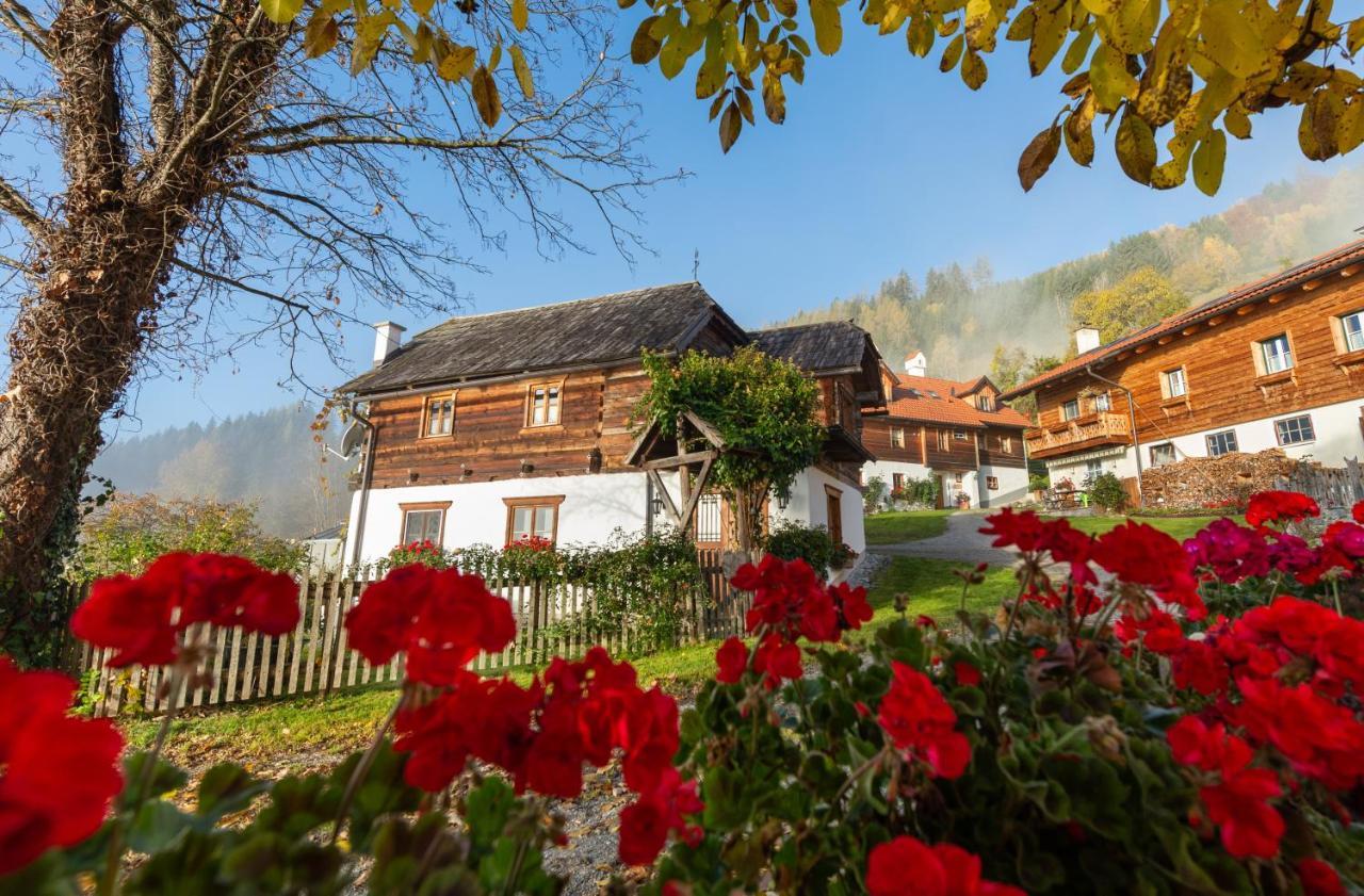 Troadkasten - Ferienhaus Am Bio-Bergbauernhof Aflenz Kurort Exterior photo