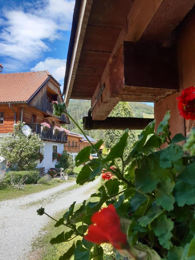 Troadkasten - Ferienhaus Am Bio-Bergbauernhof Aflenz Kurort Exterior photo